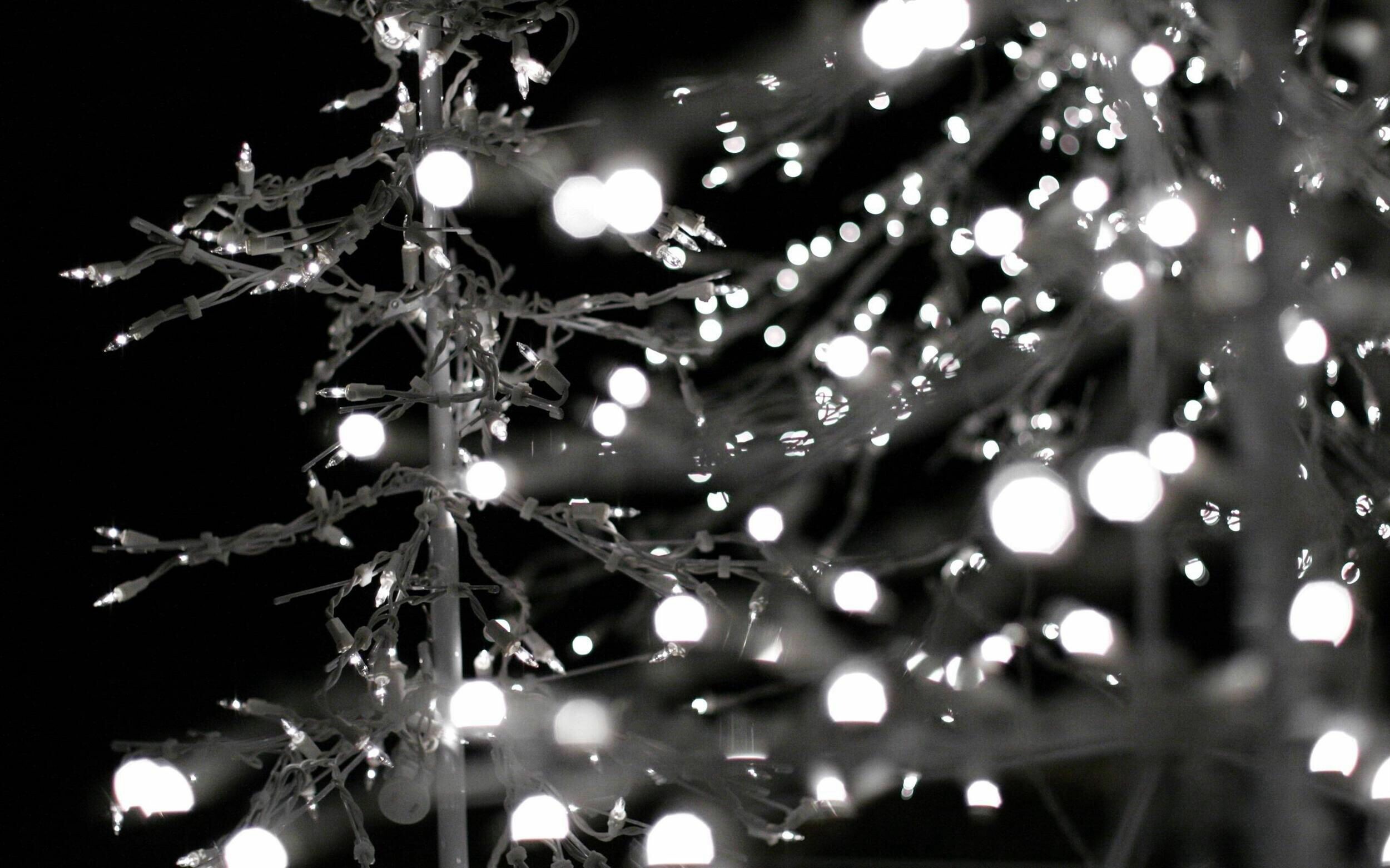 Fairy Lights, Black and white, Tree illuminated, Christmas ambiance, 2500x1570 HD Desktop