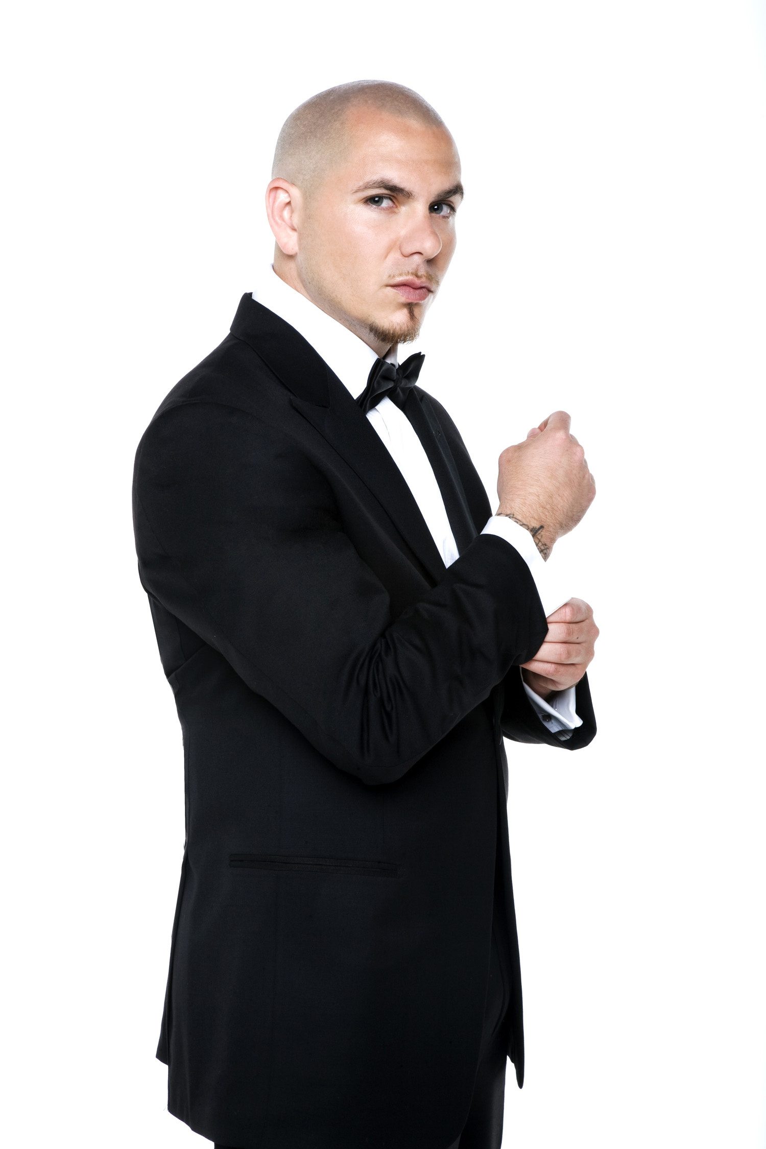 Pitbull rapper, HD wallpapers, Desktop mobile tablet, 1500x2250 HD Phone