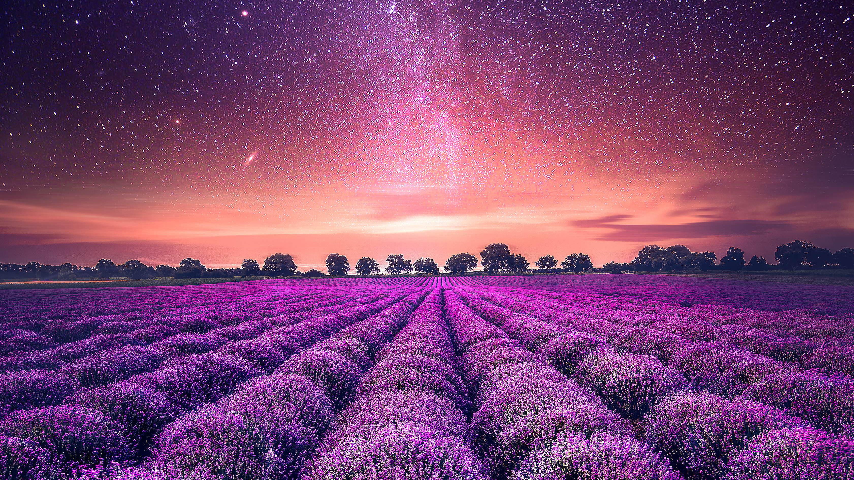 Lavender field, Purple blossoms, Natural landscape, Scenic countryside, 3370x1900 HD Desktop