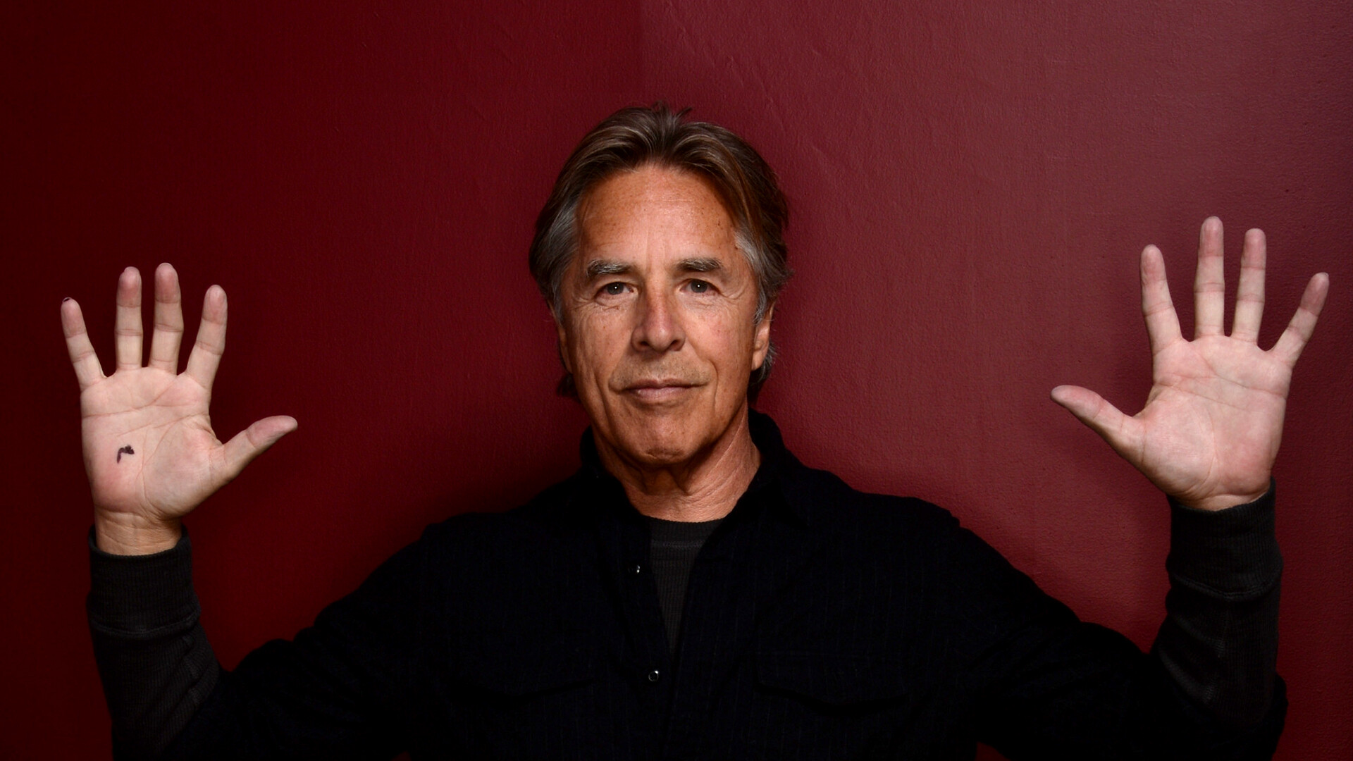 Don Johnson, Music fanart, Multitalented entertainer, Creative pursuits, 1920x1080 Full HD Desktop