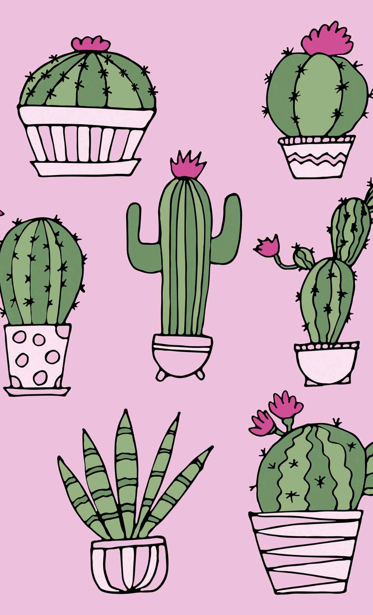 Cactuses, Cool Girly Wallpaper, 1220x2000 HD Phone