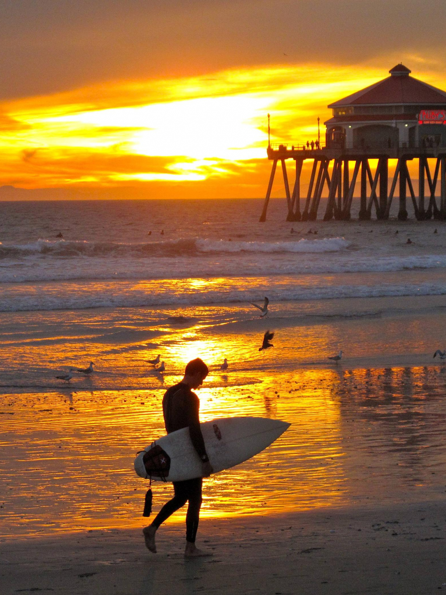 Huntington Beach, Travels, Huntington Beach wallpapers, Beautiful views, 1540x2050 HD Phone