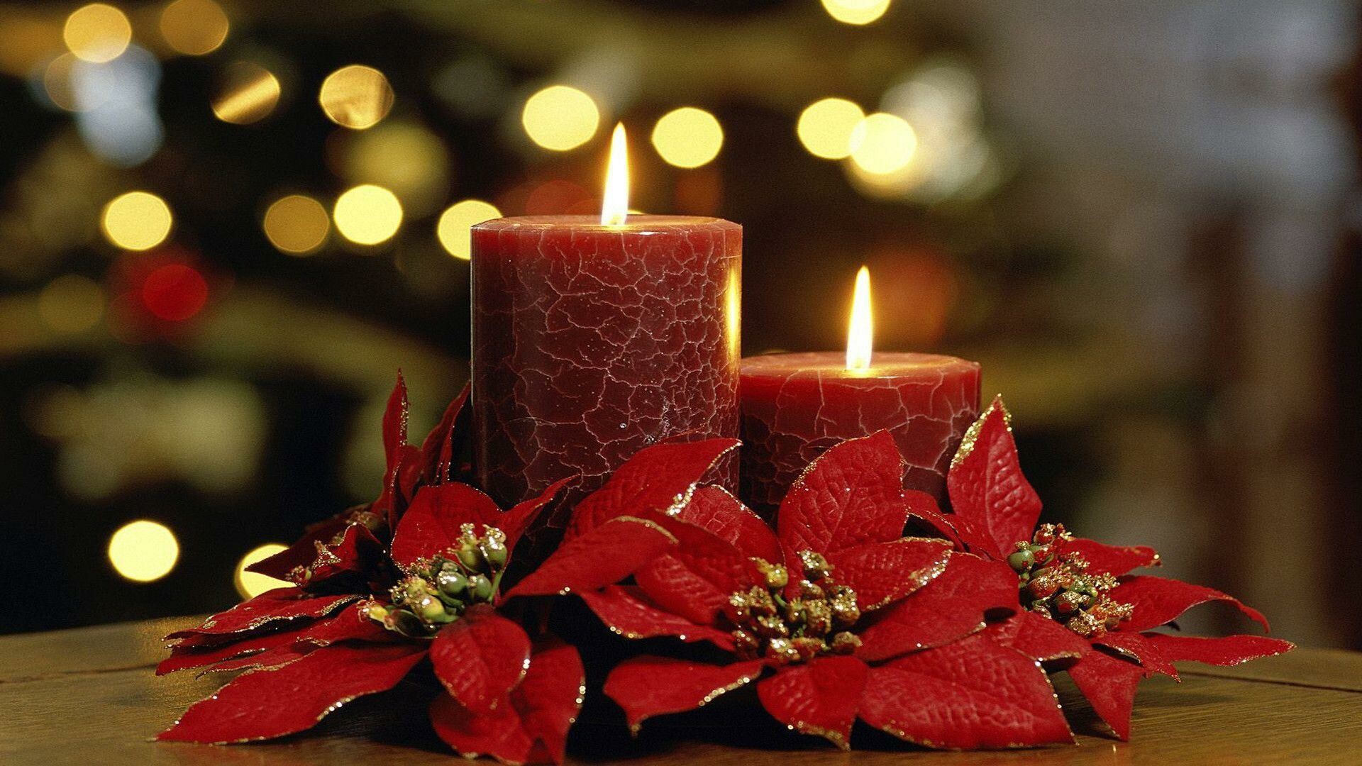 Decoration, Poinsettia Wallpaper, 1920x1080 Full HD Desktop