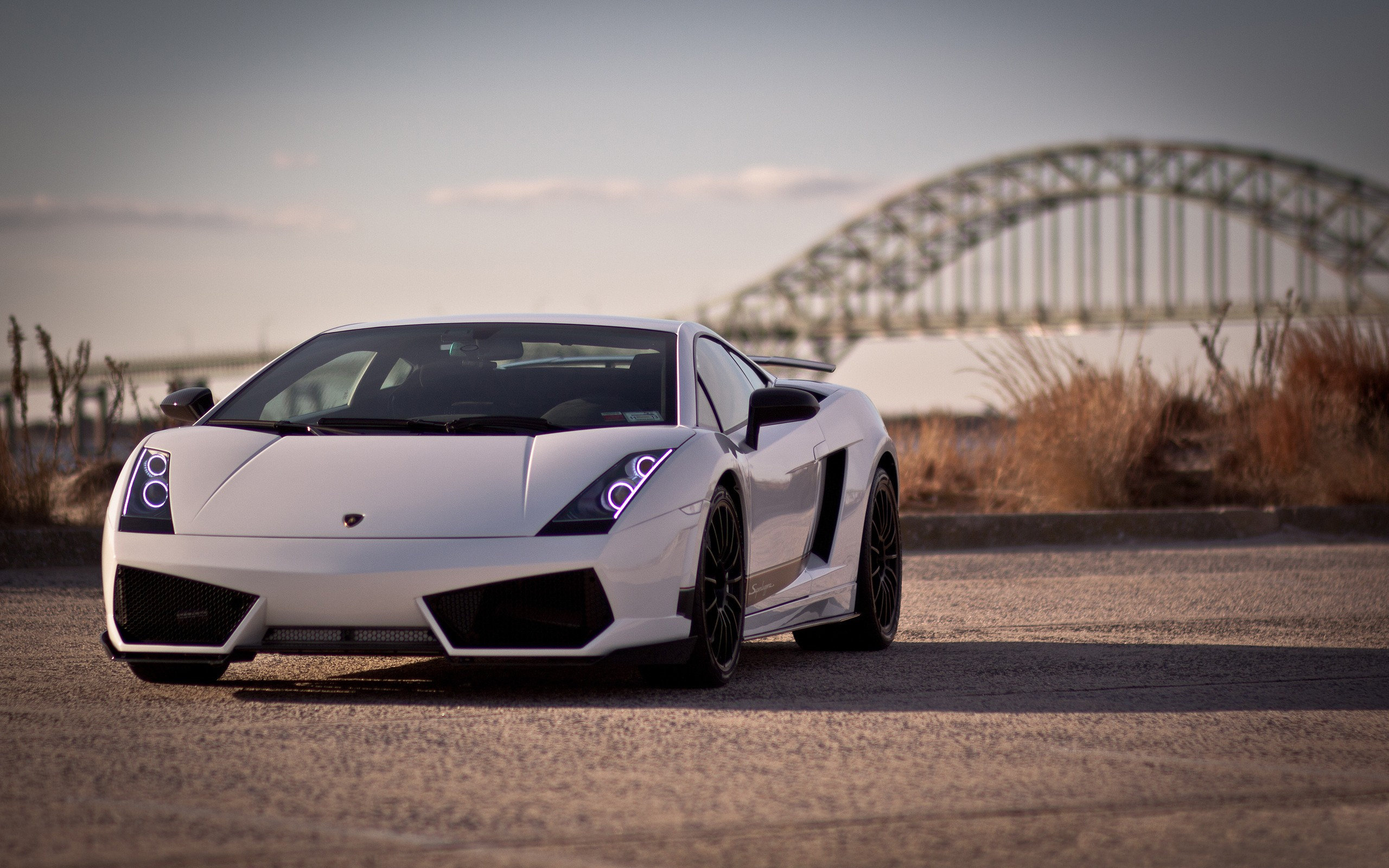 LP560-4, Lamborghini Gallardo Wallpaper, 2560x1600 HD Desktop