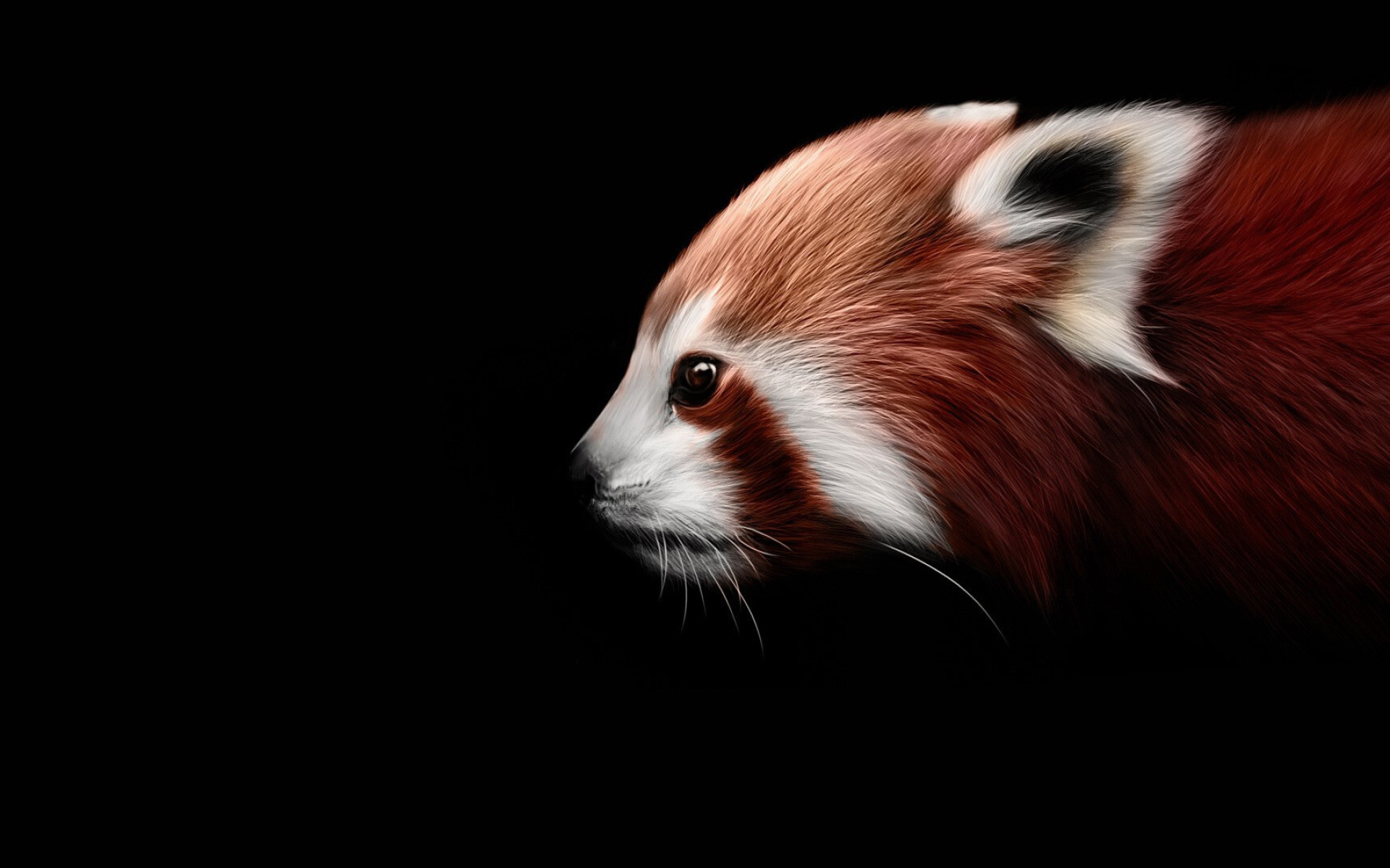 Red panda, Beautiful wallpaper, Nature-inspired, Mesmerizing visuals, 1920x1200 HD Desktop