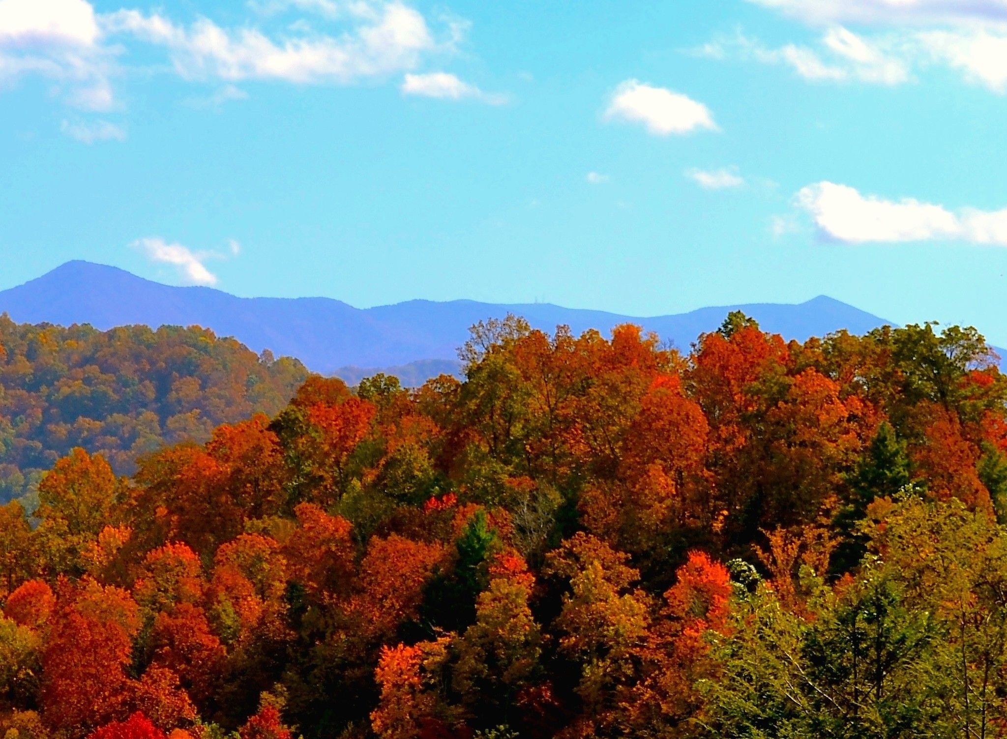 Autumn in NC mountains, Vibrant fall foliage, Nature's palette, HD wallpapers, 2050x1510 HD Desktop