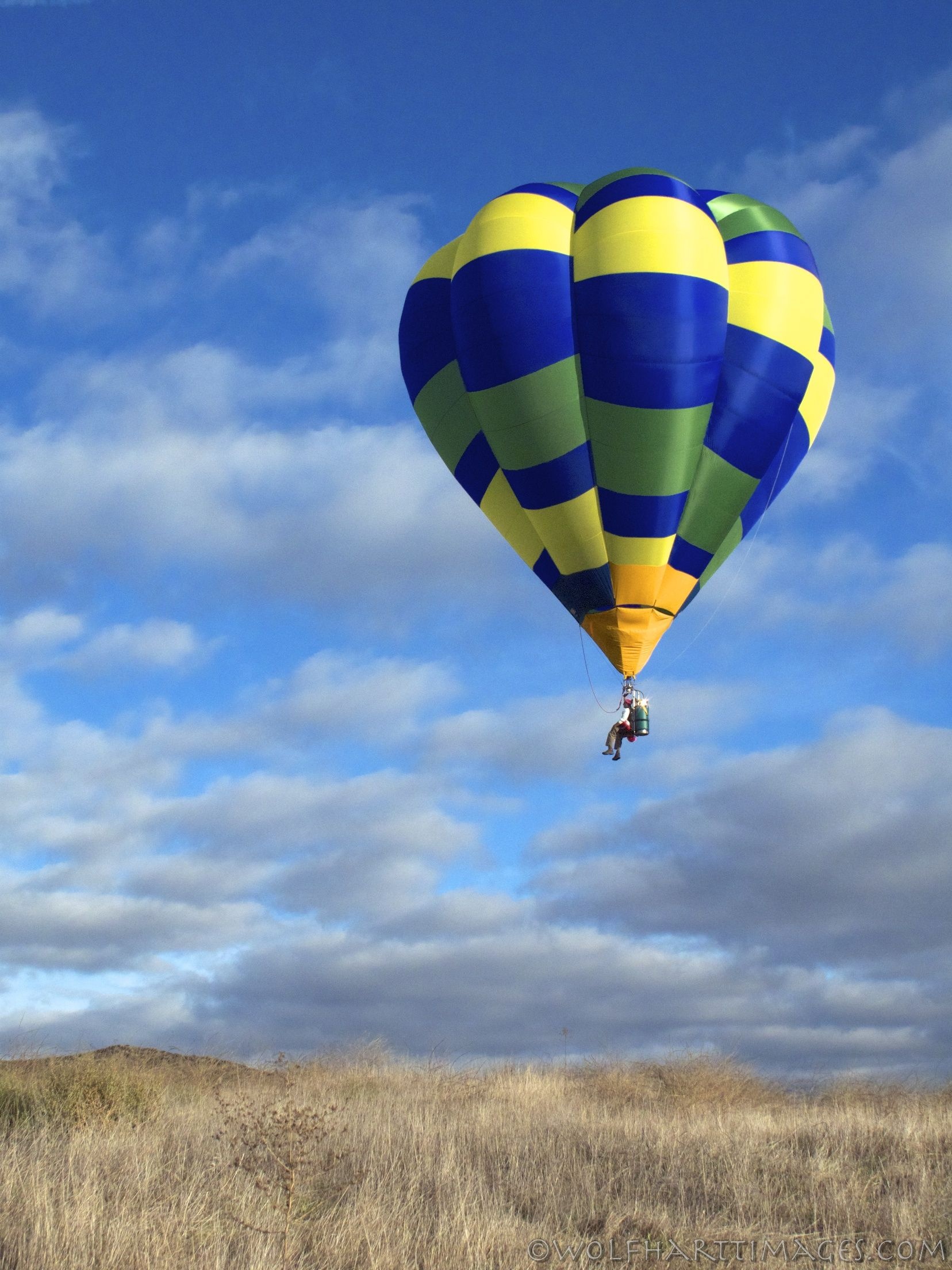 Hopper Ballooning, Cameron 31k cloud hopper, Hot air balloons, Sports, 1660x2210 HD Phone