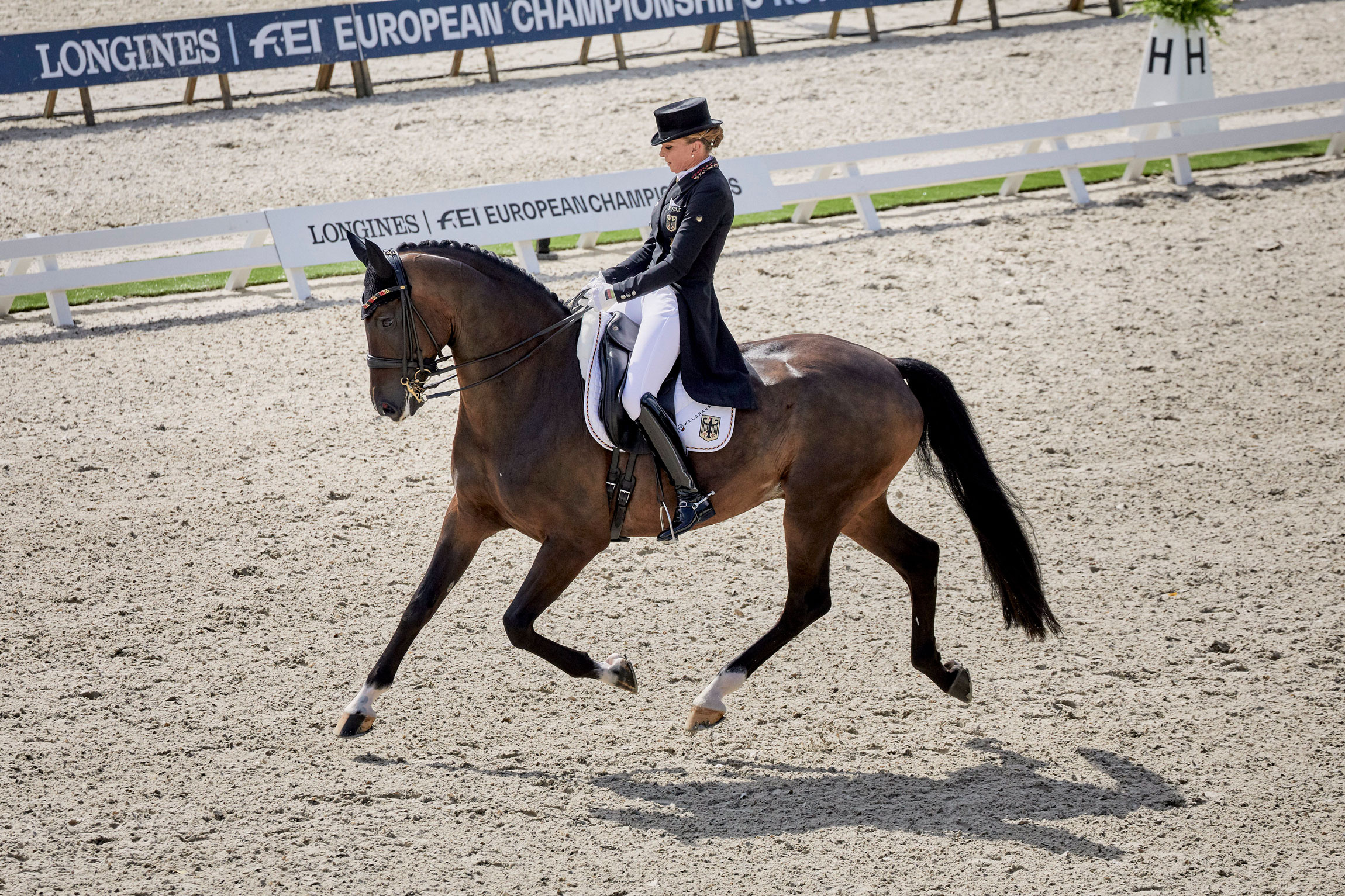 Dorothee Schneider, Dressage Wallpaper, 2300x1540 HD Desktop