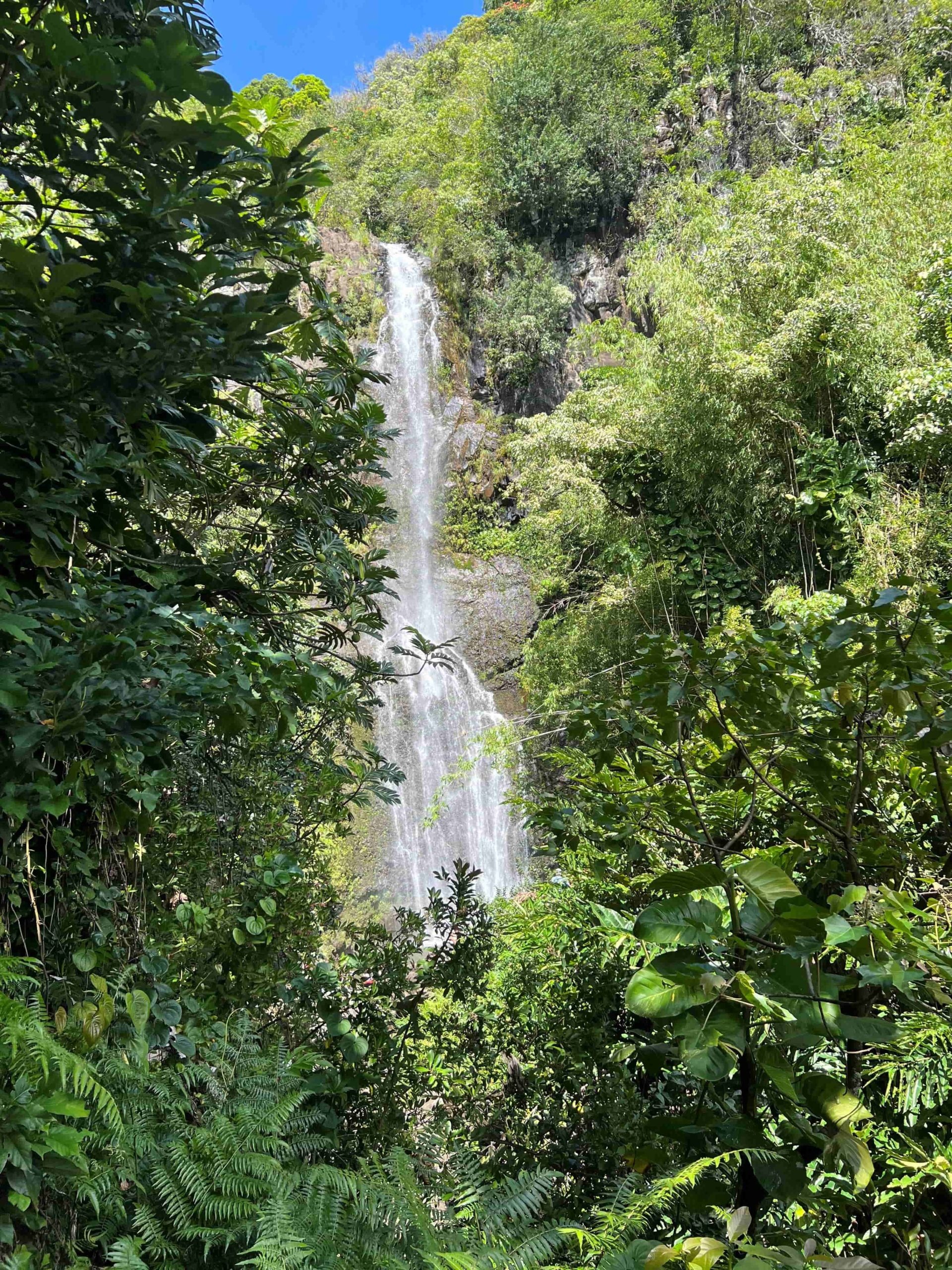 Road to Hana, Maui, Tours, 1920x2560 HD Phone