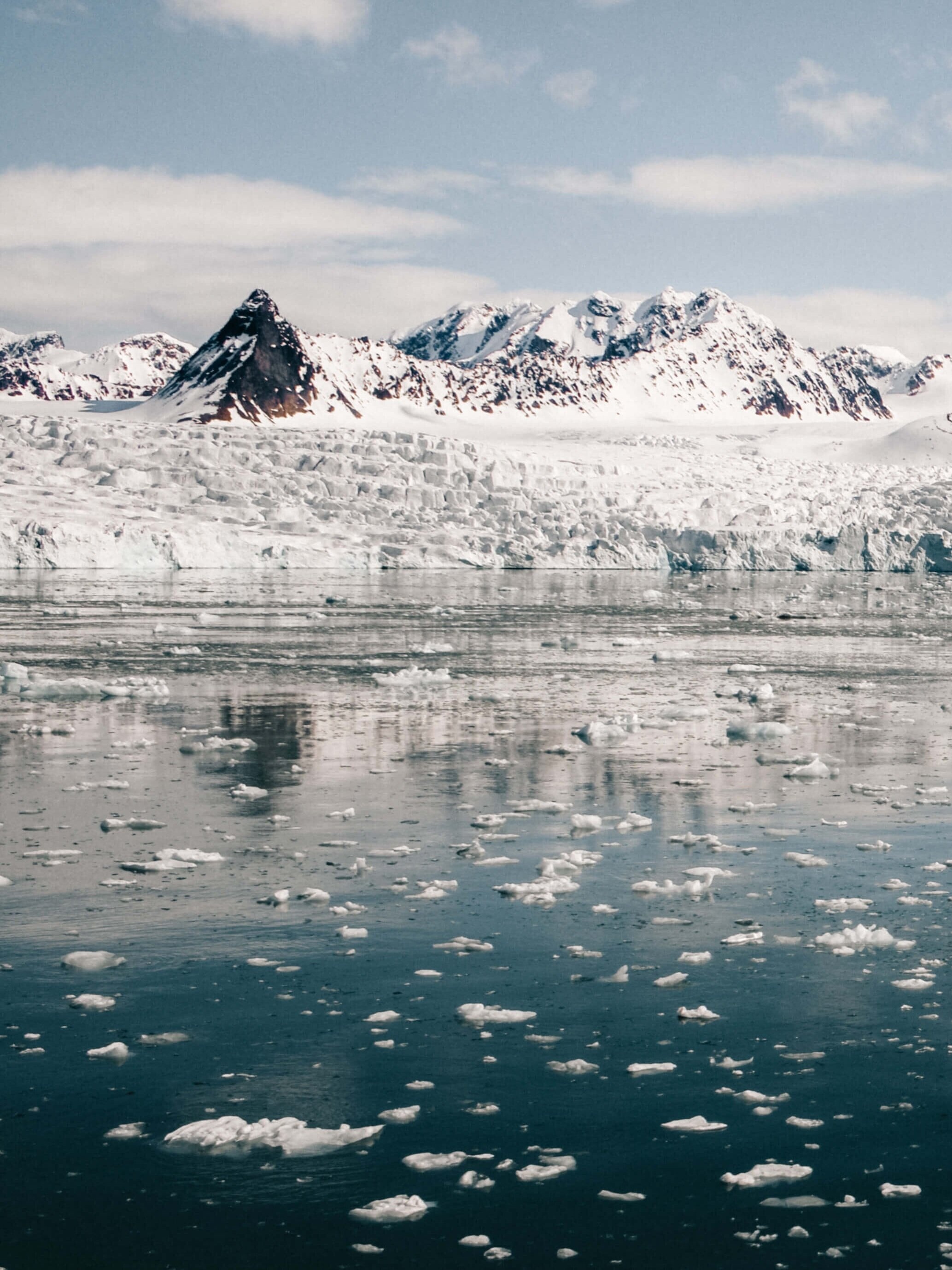 Spitsbergen National Park, Wildlife, Svalbard, 2070x2760 HD Phone