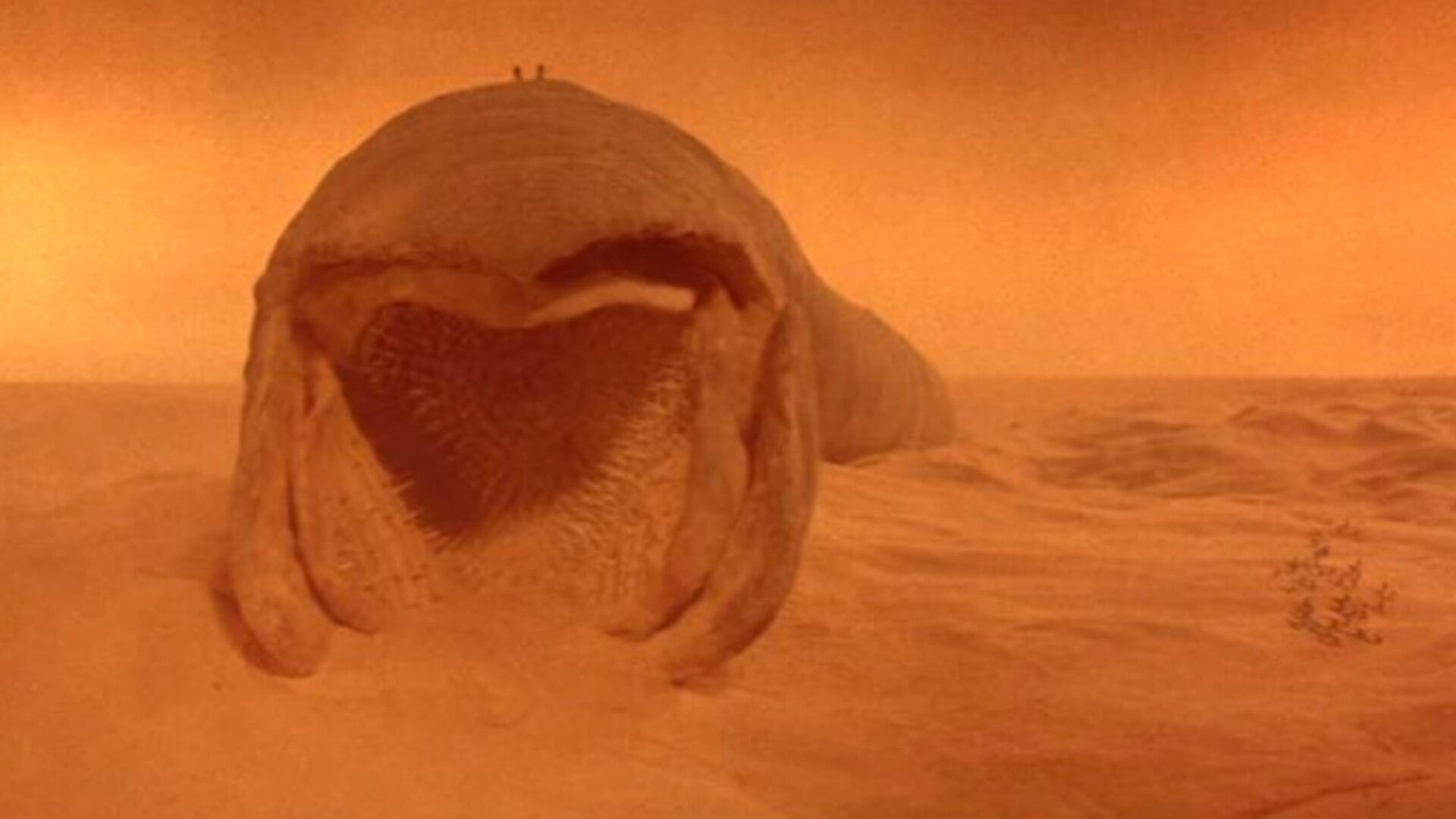 Dune Worm, Denis Villeneuve, Sandworm design, Year-long process, 1920x1080 Full HD Desktop