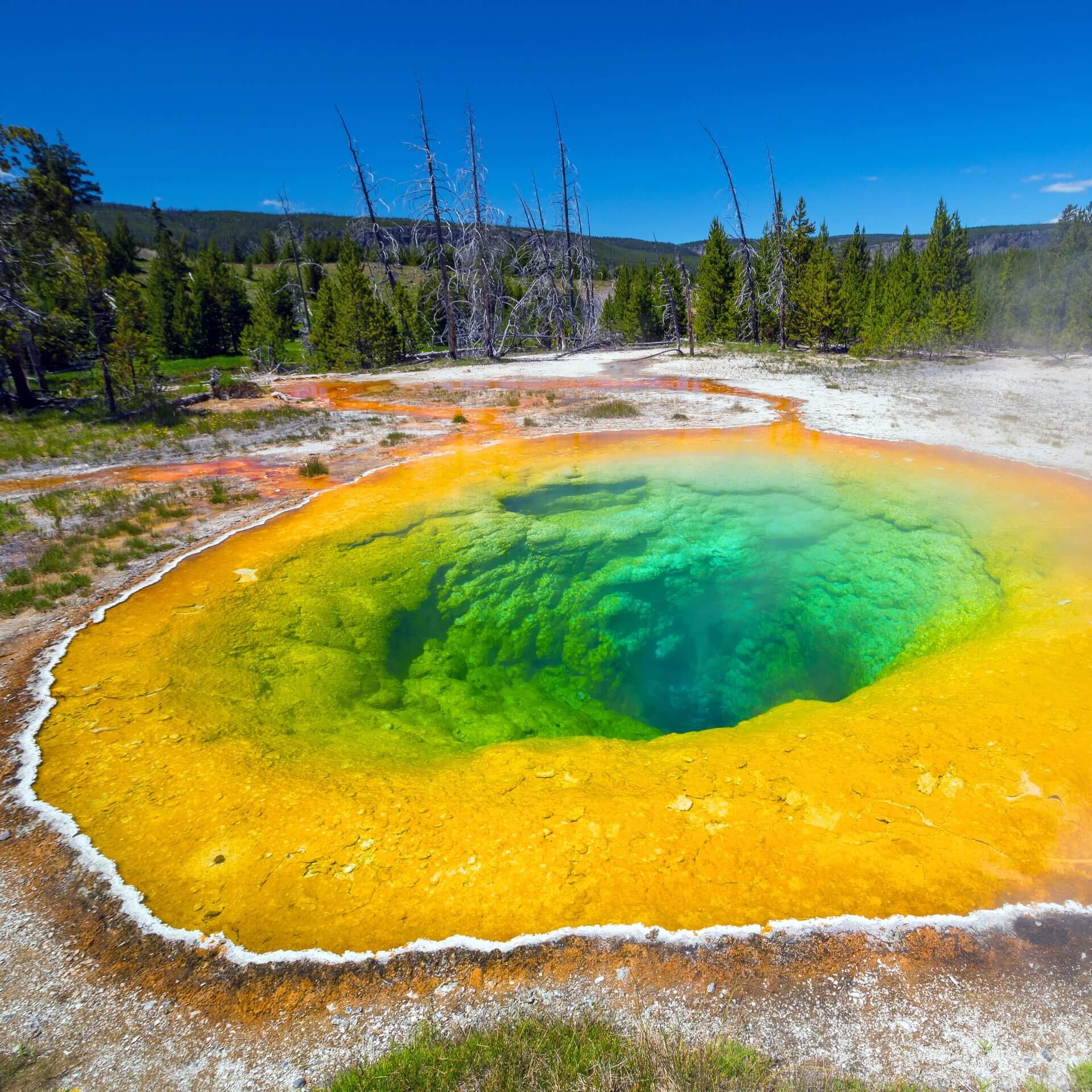 Yellowstone National Park, Wohnmobil camping, 1920x1920 HD Phone