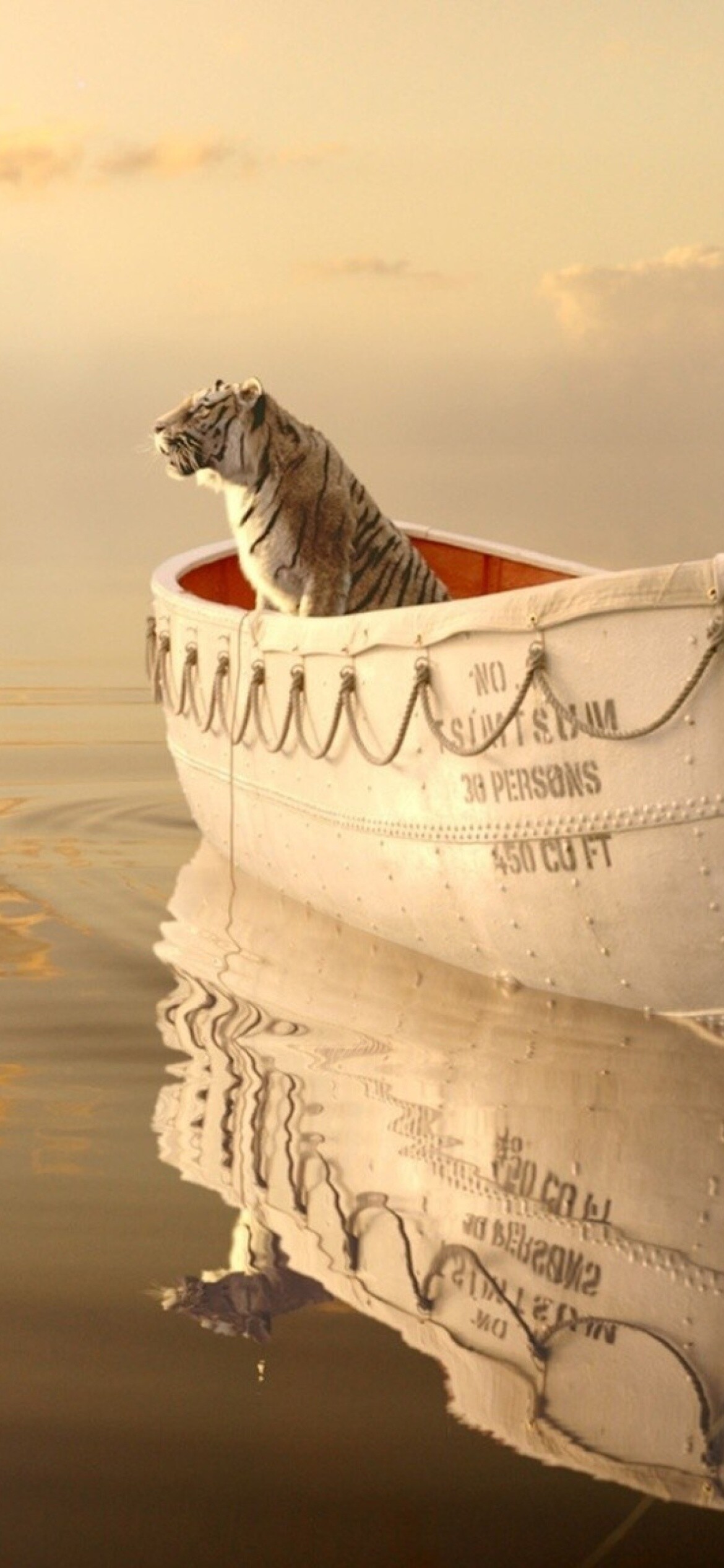 Life of Pi, Life of Pi wallpaper, iPhone 11 wallpaper, Mobile background, 1170x2540 HD Phone