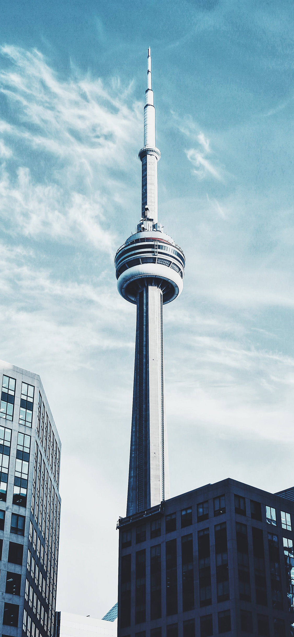 CN Tower, Toronto city wallpaper, Nature, Cntower, 1130x2440 HD Phone