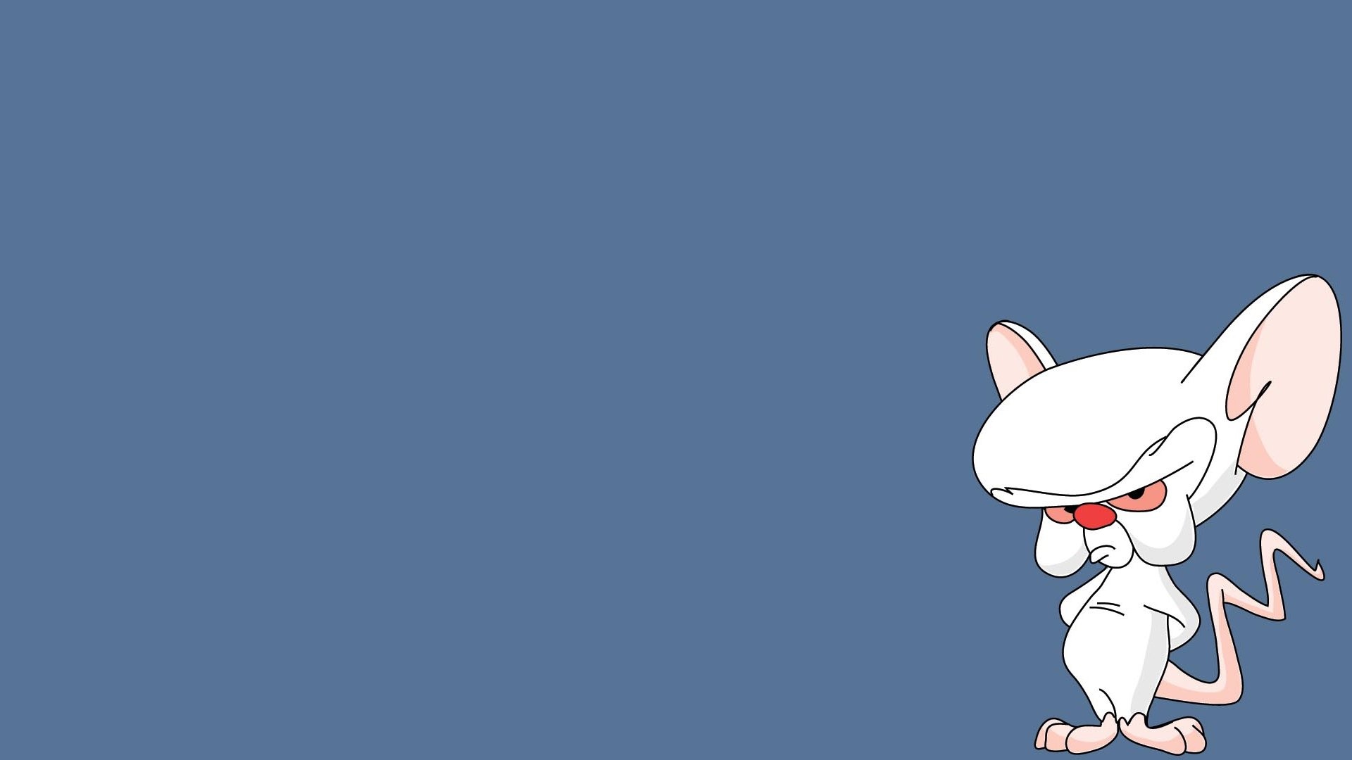 Pinky and the Brain wallpaper, Creative cartoon design, Click wallpapers, 1920x1080 Full HD Desktop