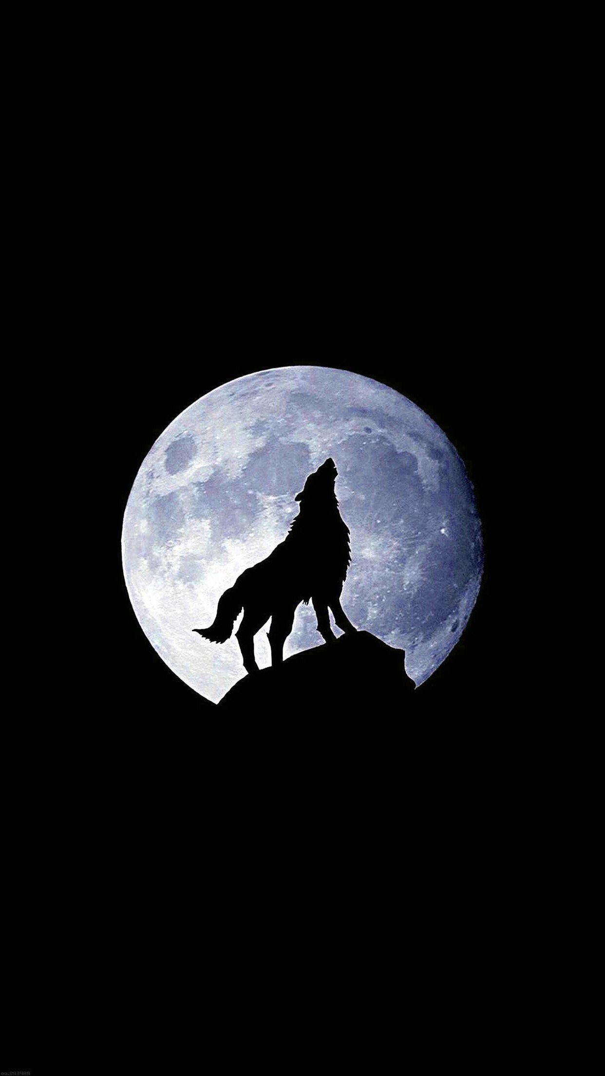 Cool black wolf, Striking contrast, Mysterious charm, Unforgettable sight, 1250x2210 HD Phone