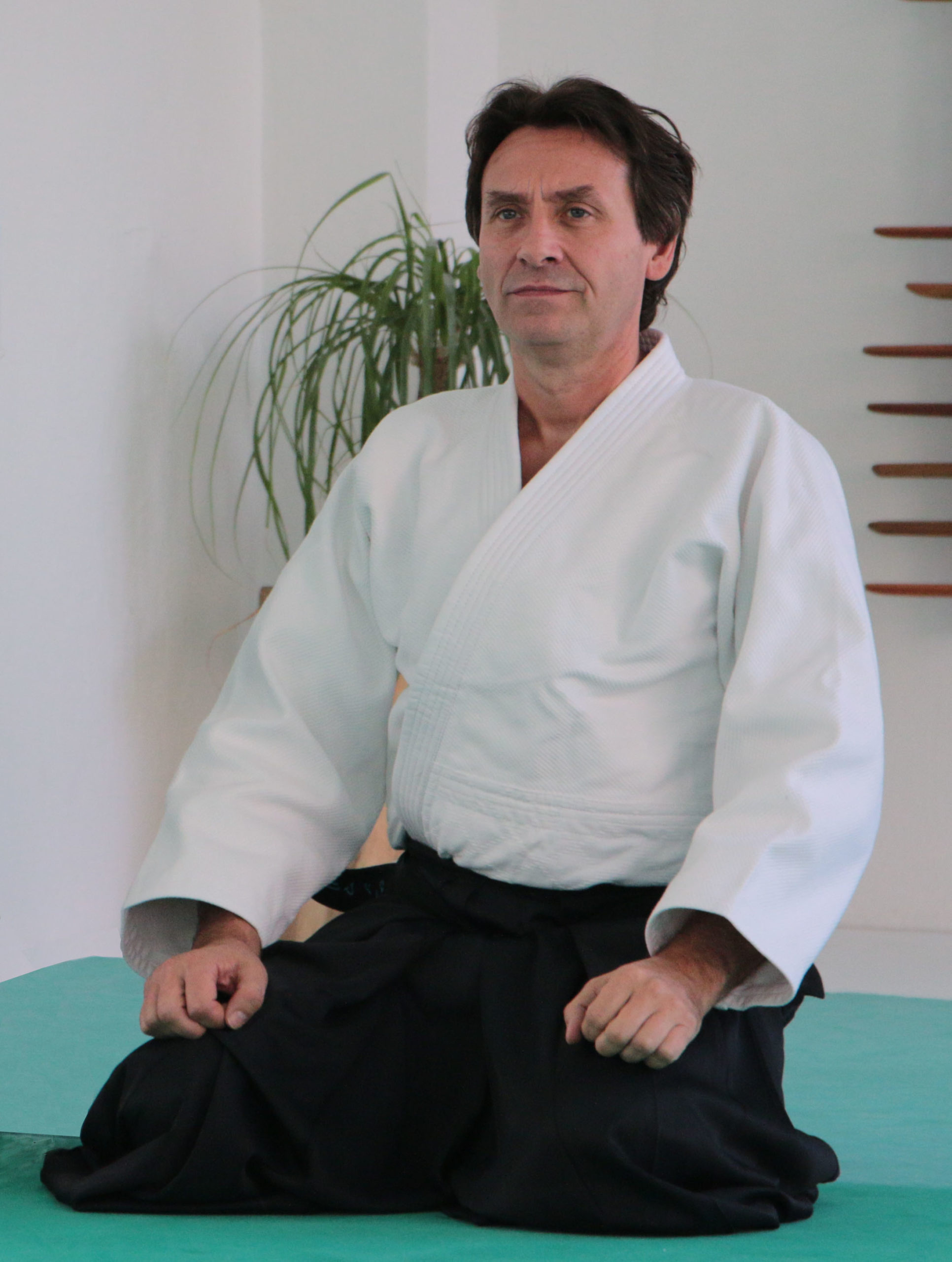 Jean-Marie Milleville, Aikido Wallpaper, 1940x2560 HD Phone