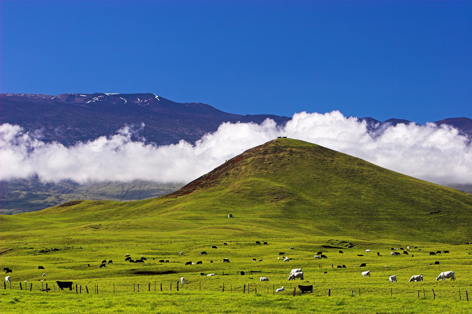 Waimea, Hawaii, Hawaiian cowboy town, Travel, 2000x1340 HD Desktop