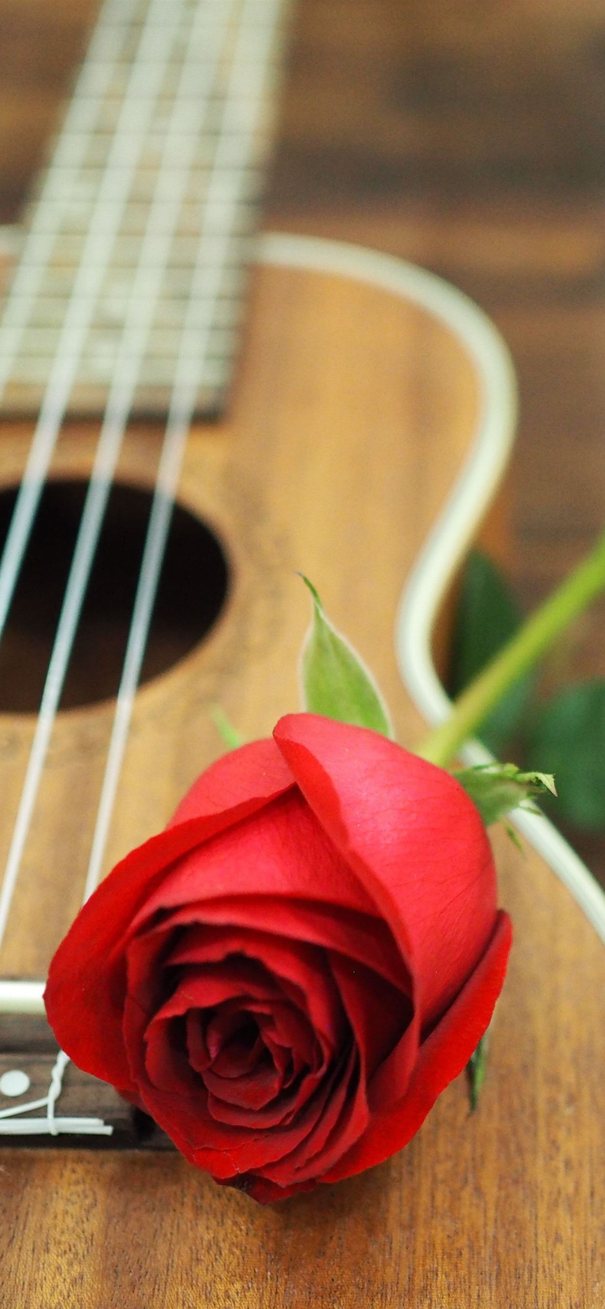 Striking visuals, Guitar treasures, Musical inspiration, Artistic elegance, 1250x2690 HD Phone