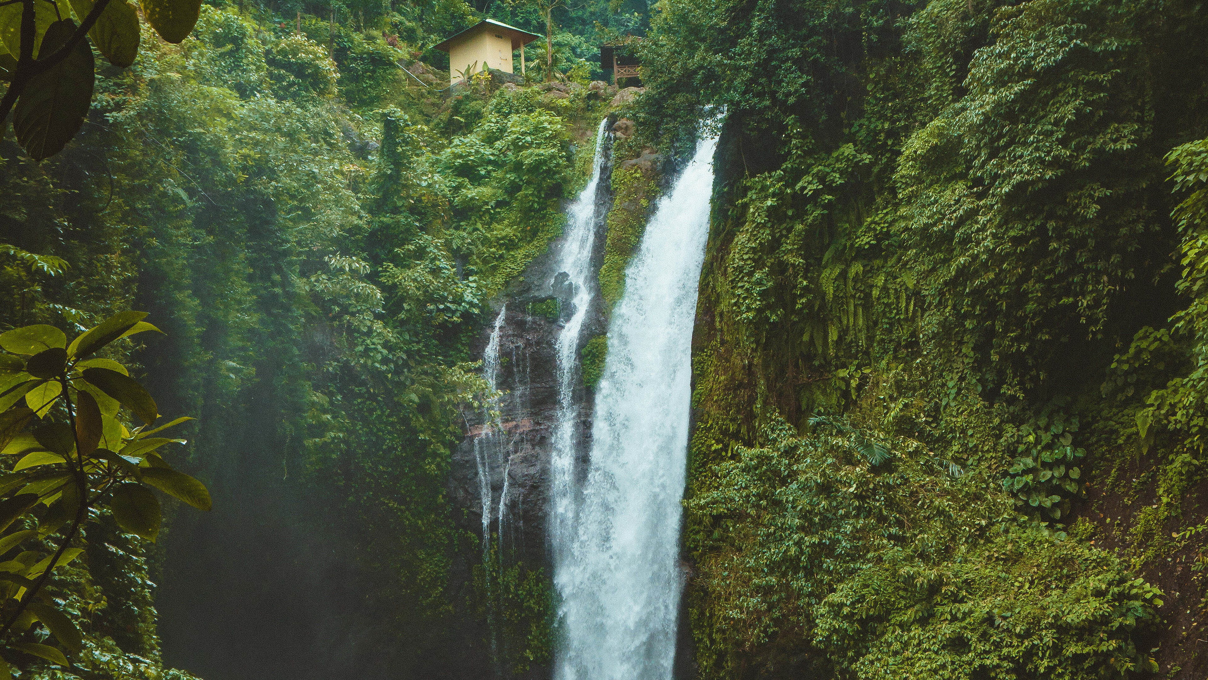 Aling Aling, Rainforests Wallpaper, 3840x2160 4K Desktop