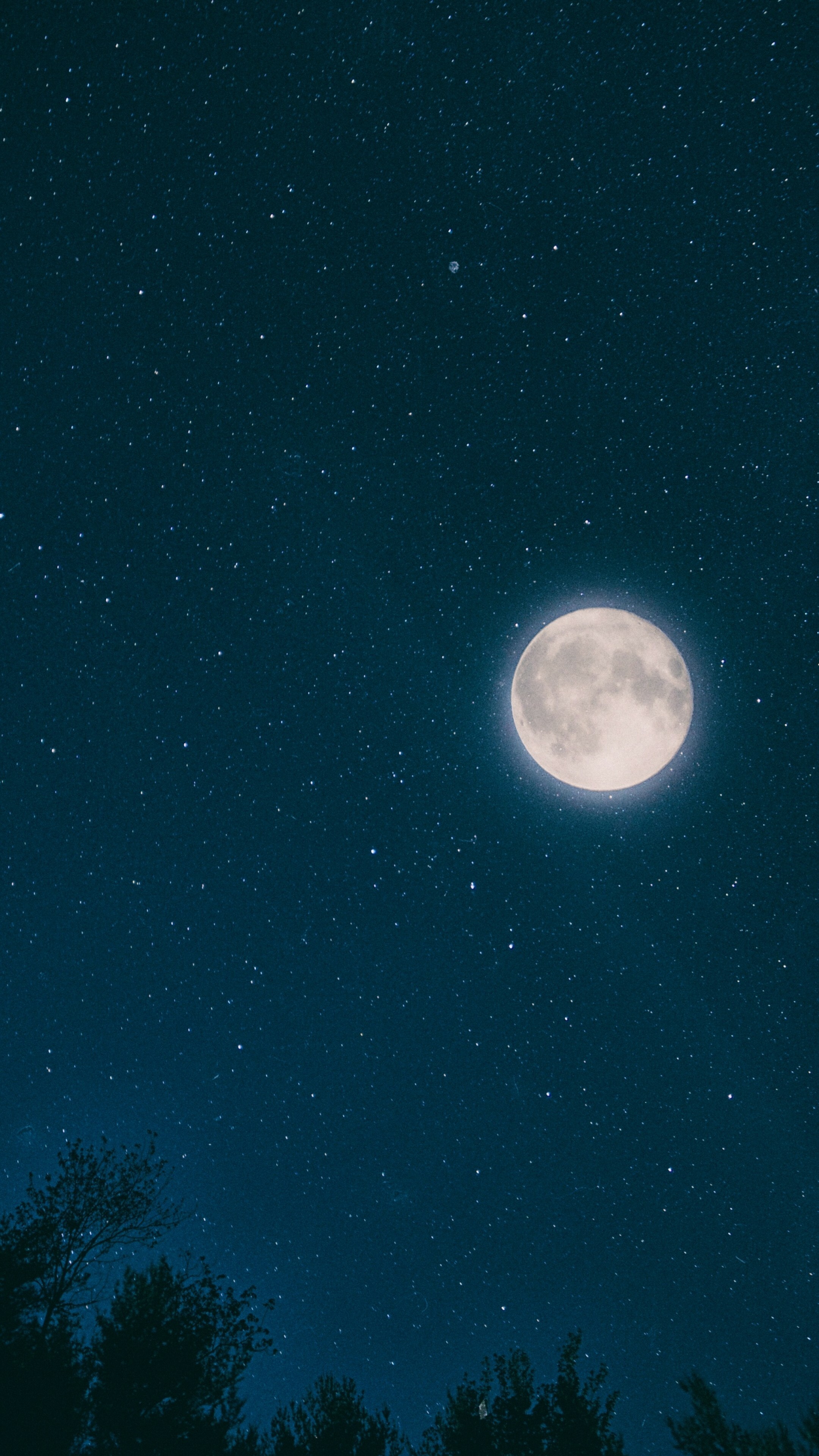 Moonlight, Night sky enchantment, Stars amidst forest, 4K stock images, 2160x3840 4K Phone