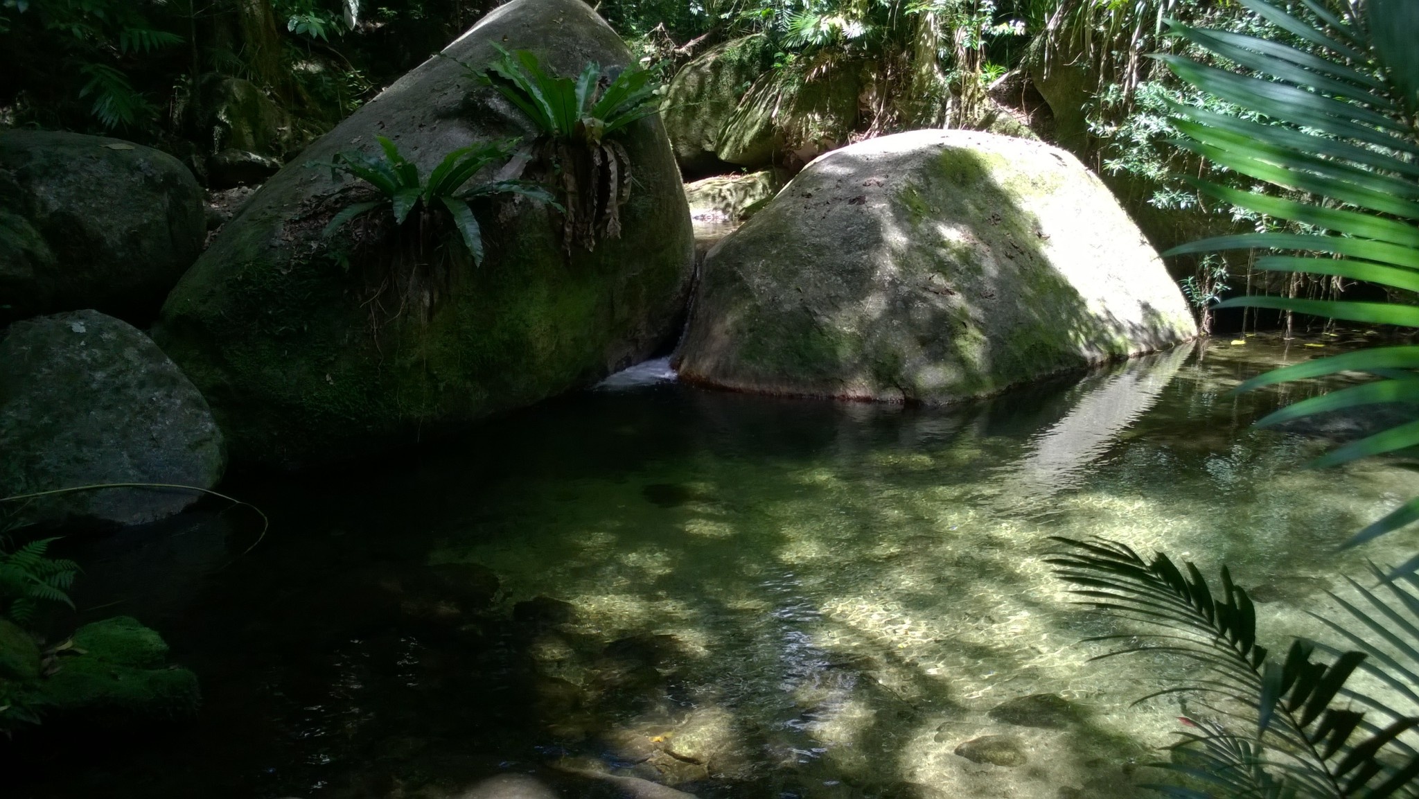 Daintree National Park, Queensland Australia, Driving, Trips, 2050x1160 HD Desktop