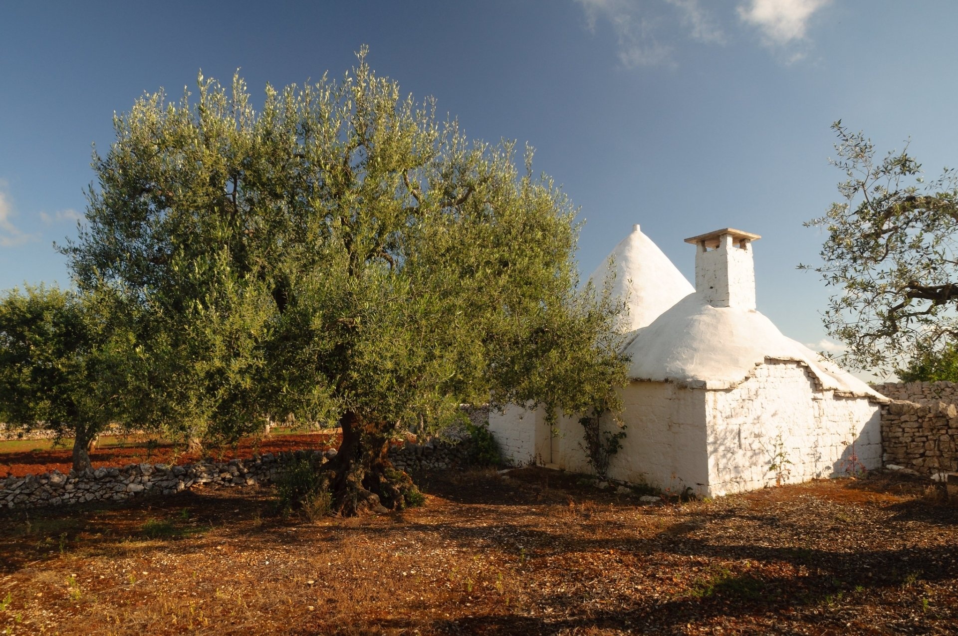 Alberobello's beauty, Quaint trulli houses, Memorable experience, 1920x1280 HD Desktop