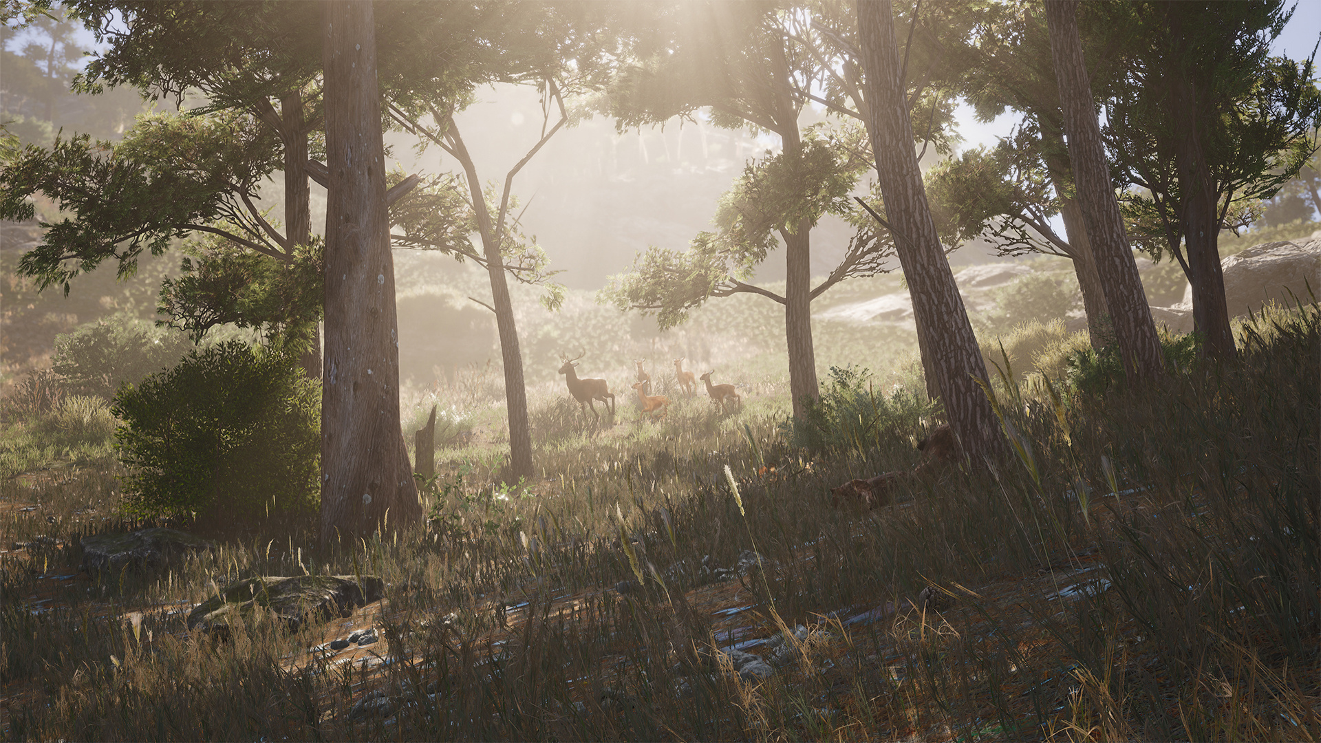 SCUM (Game), Unreal Engine, Realistic survival, Metabolism tracker, 1920x1080 Full HD Desktop